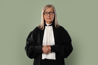 Photo of Senior judge in court dress on green background