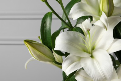 Photo of Beautiful lily flowers near light grey wall, closeup. Space for text