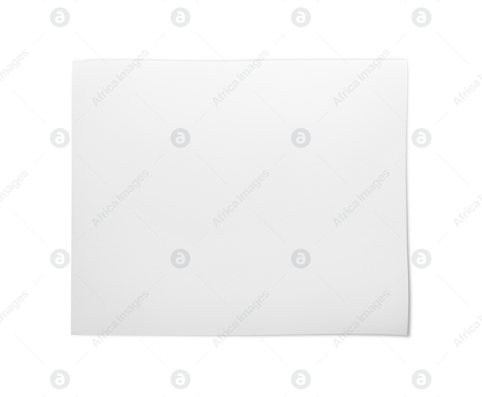 Photo of Sheet of baking paper isolated on white