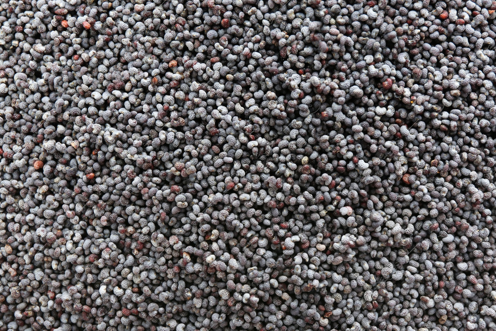 Photo of Dry poppy seeds as background, closeup view