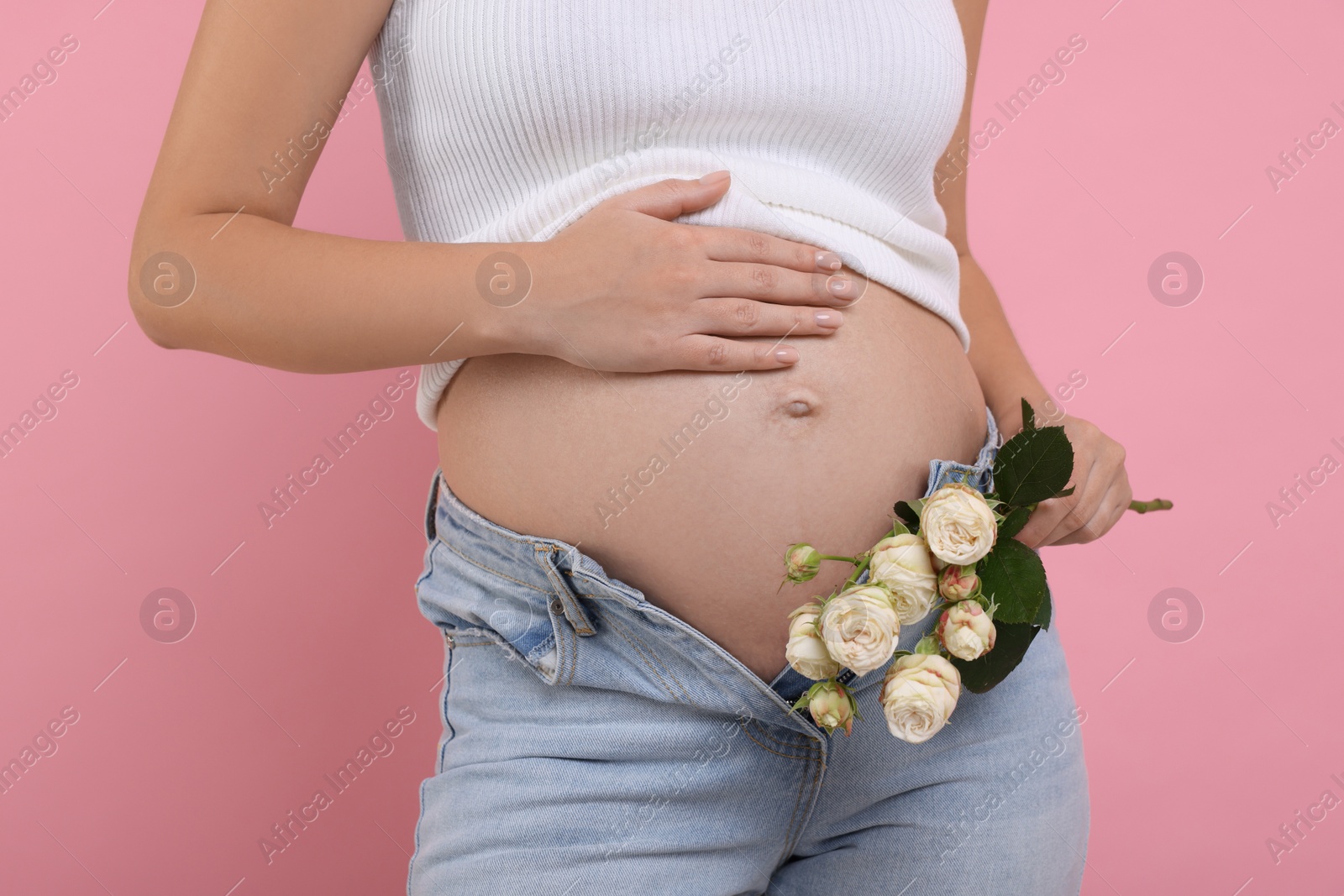 Photo of Pregnant woman with roses on pink background, closeup