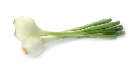 Fresh green onion on white background