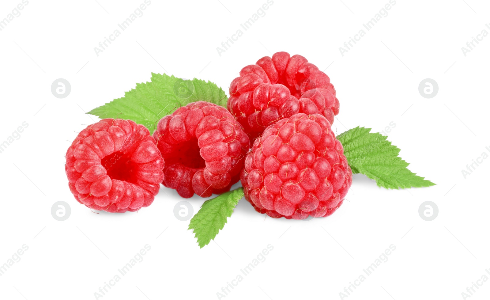 Photo of Many fresh ripe raspberries and green leaves isolated on white
