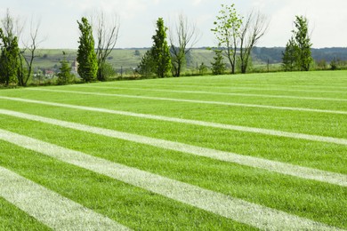 Bright green grass with white markings outdoors