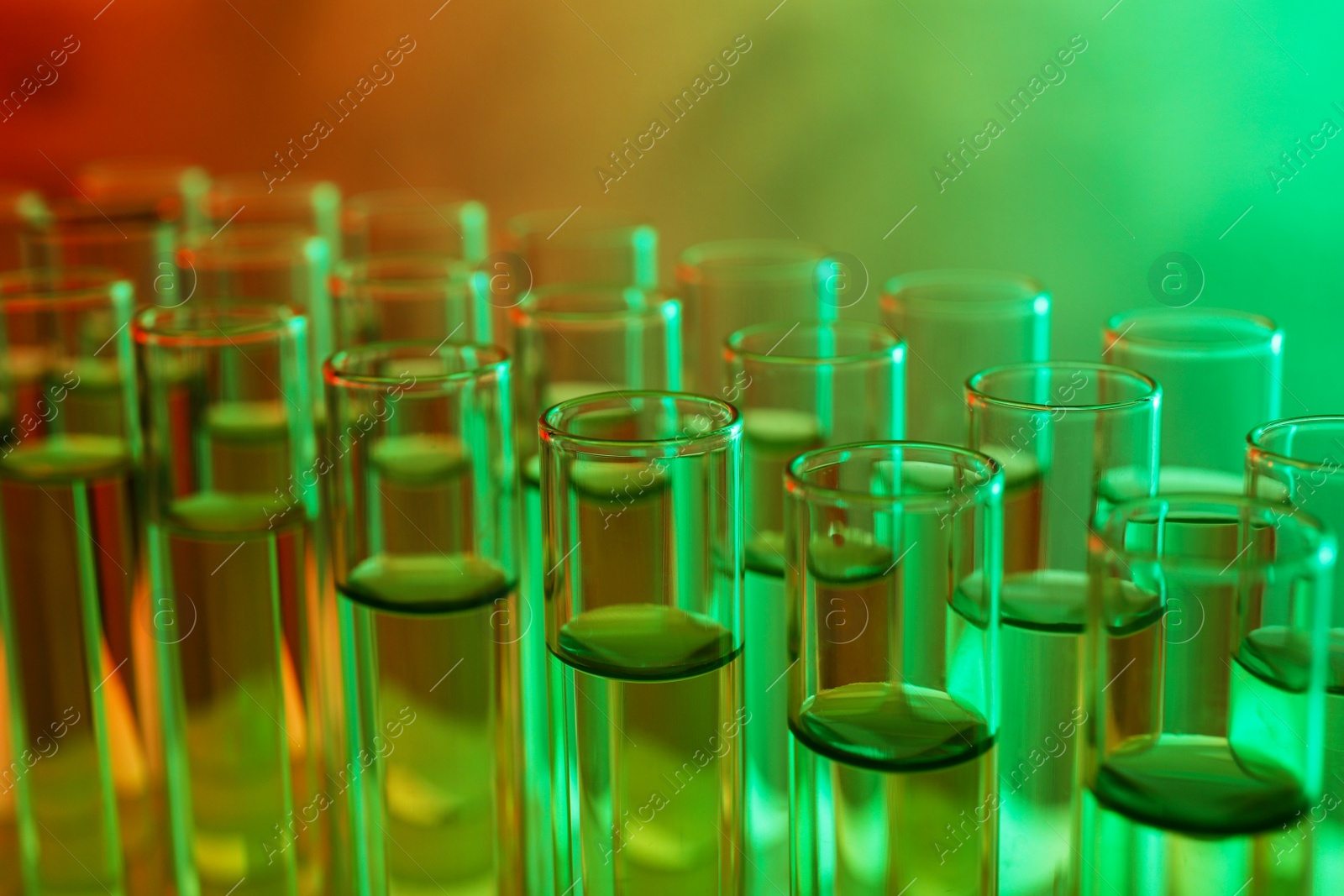 Photo of Closeup view of many test tubes with liquid, color tone effect