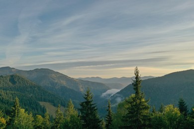 Photo of Aerial view of beautiful mountain landscape with green trees at sunrise