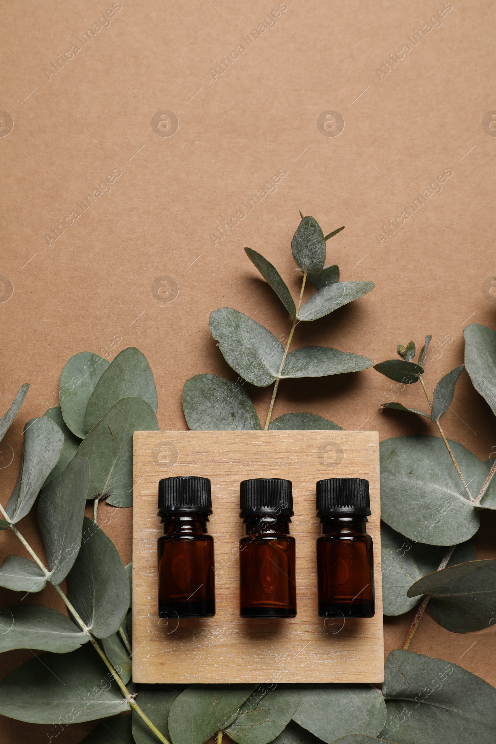 Photo of Aromatherapy. Bottles of essential oil and eucalyptus branches on brown background, flat lay