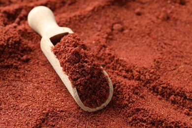 Photo of One wooden scoop on cranberry powder, closeup