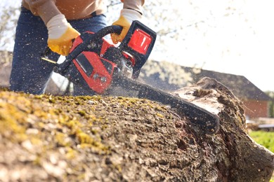 Man sawing wooden log on sunny day, closeup