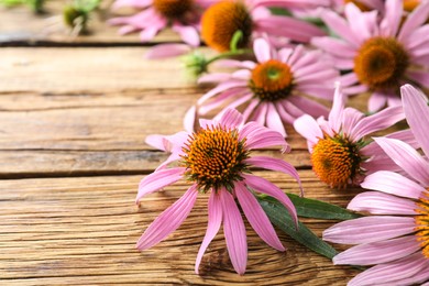 Photo of Beautiful blooming echinacea flowers on wooden table, closeup