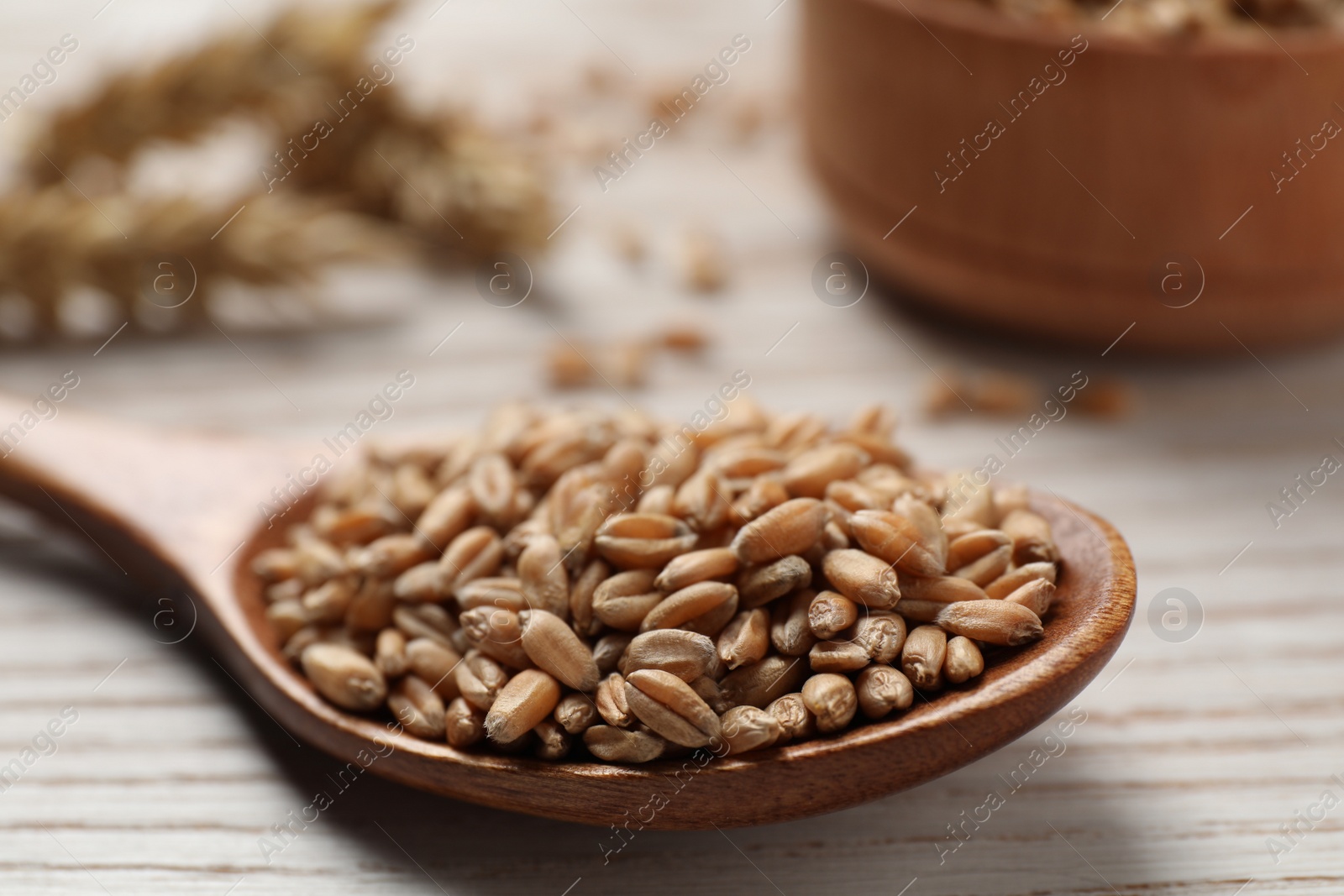 Photo of Wheat grains in spoon on white wooden table, closeup