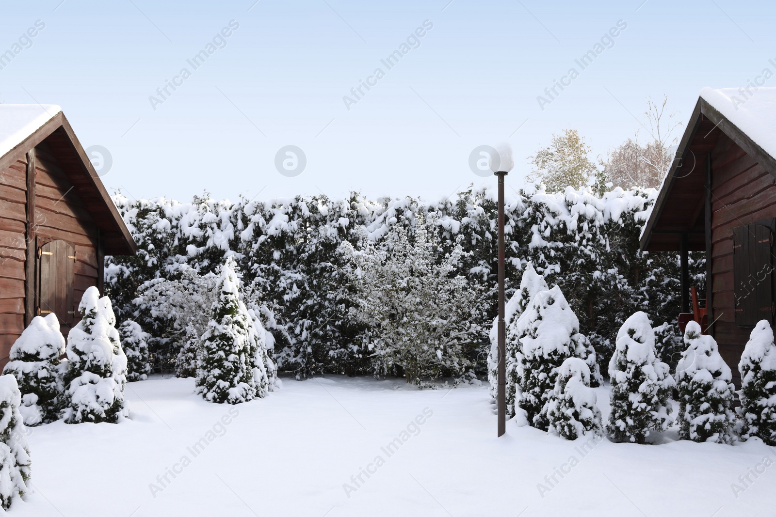 Photo of Winter landscape with wooden houses, trees and bushes in morning