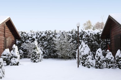 Photo of Winter landscape with wooden houses, trees and bushes in morning