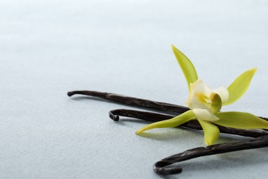 Photo of Vanilla pods and beautiful flower on light background, closeup. Space for text