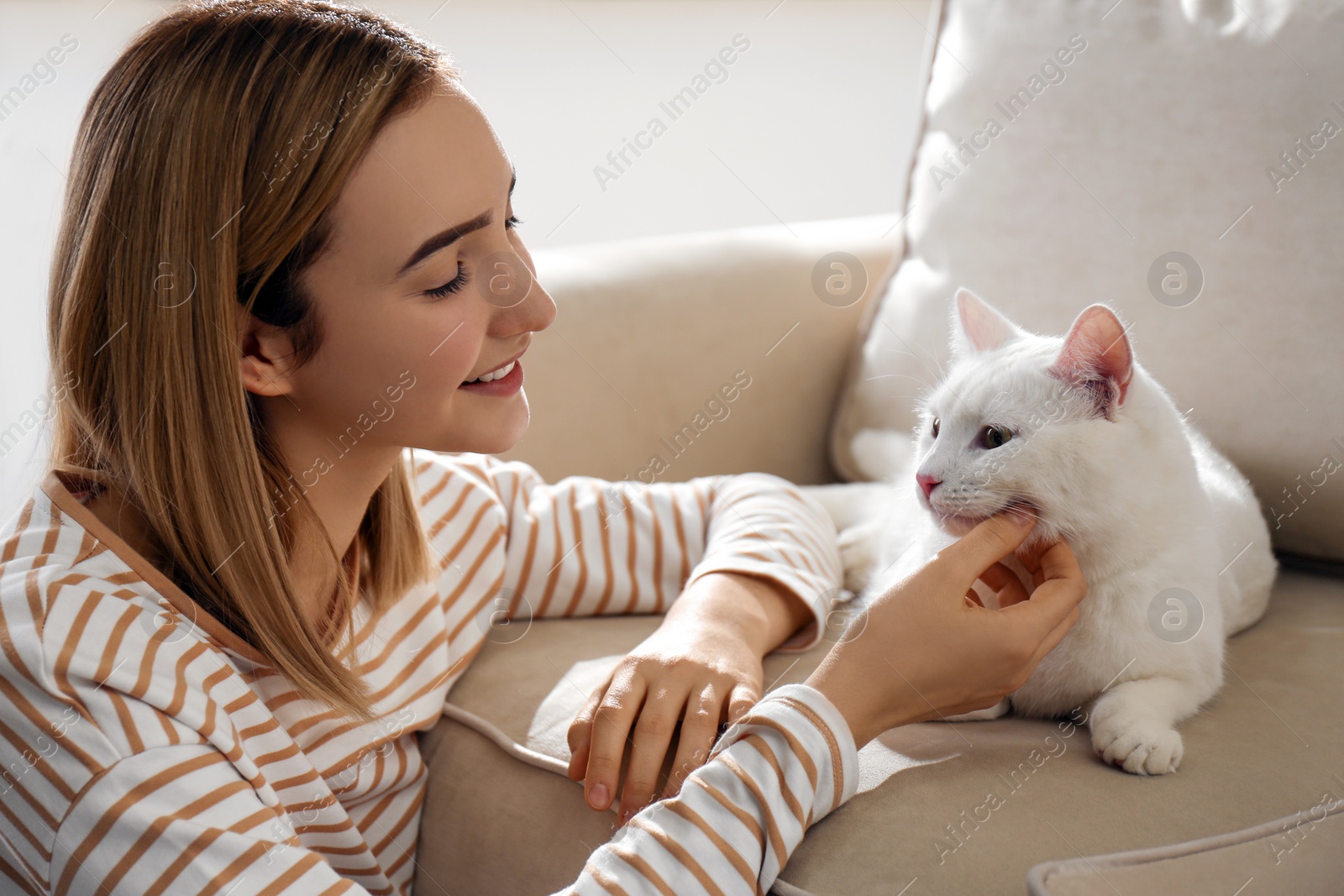 Photo of Young woman petting her beautiful white cat at home. Fluffy pet