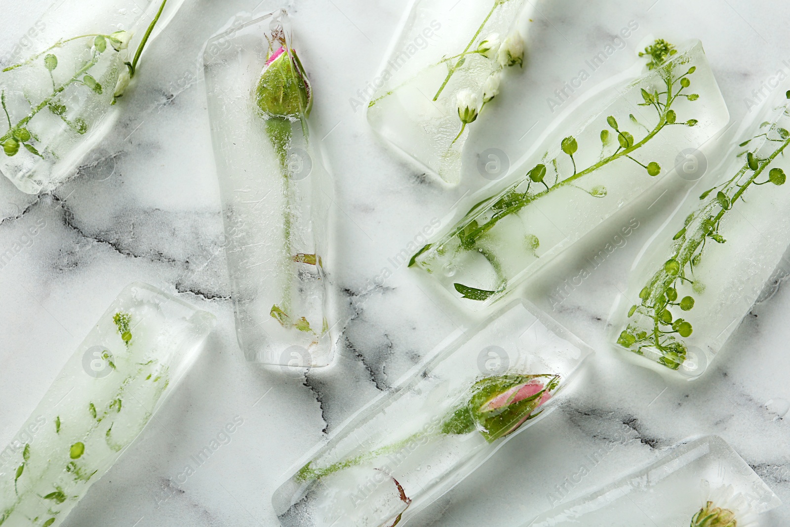 Photo of Ice cubes with flowers on marble background, flat lay