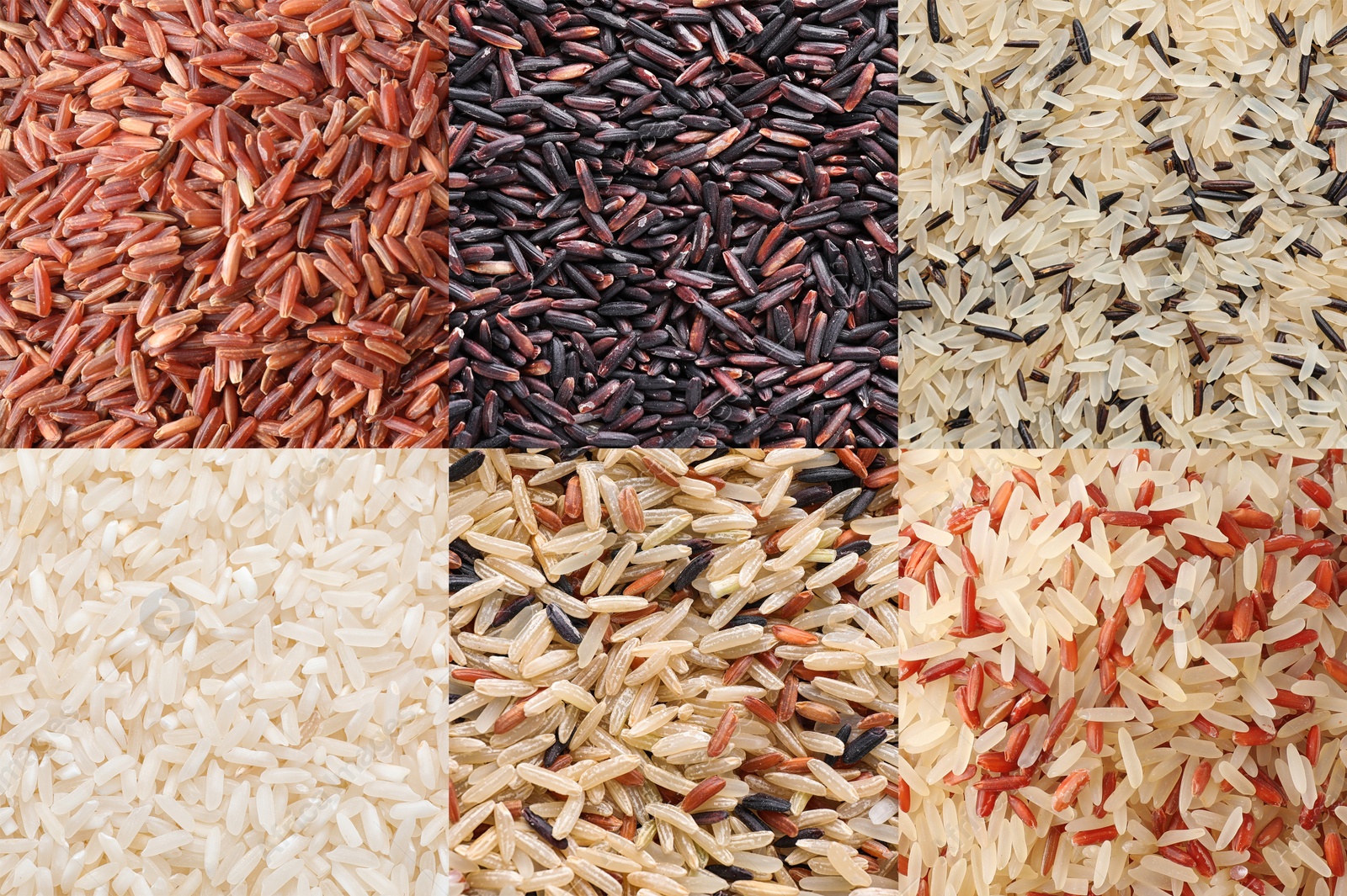 Image of Collage with different types of rice, top view