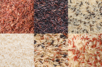 Image of Collage with different types of rice, top view