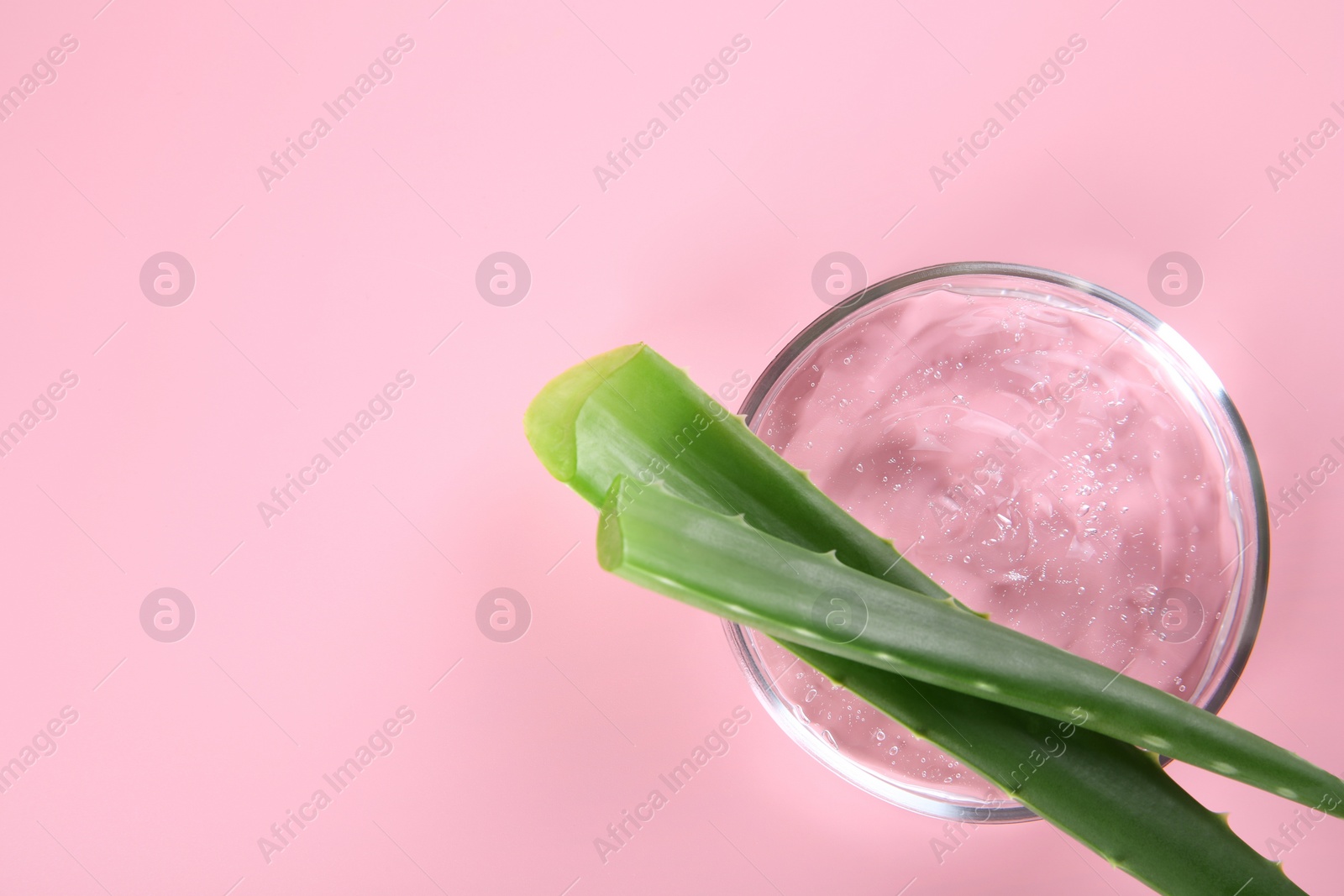 Photo of Aloe vera leaves and cosmetic gel on pink background, top view. Space for text