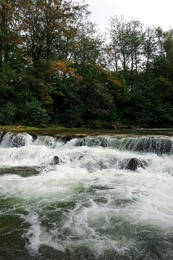 Photo of Picturesque view on river with rapids near forest