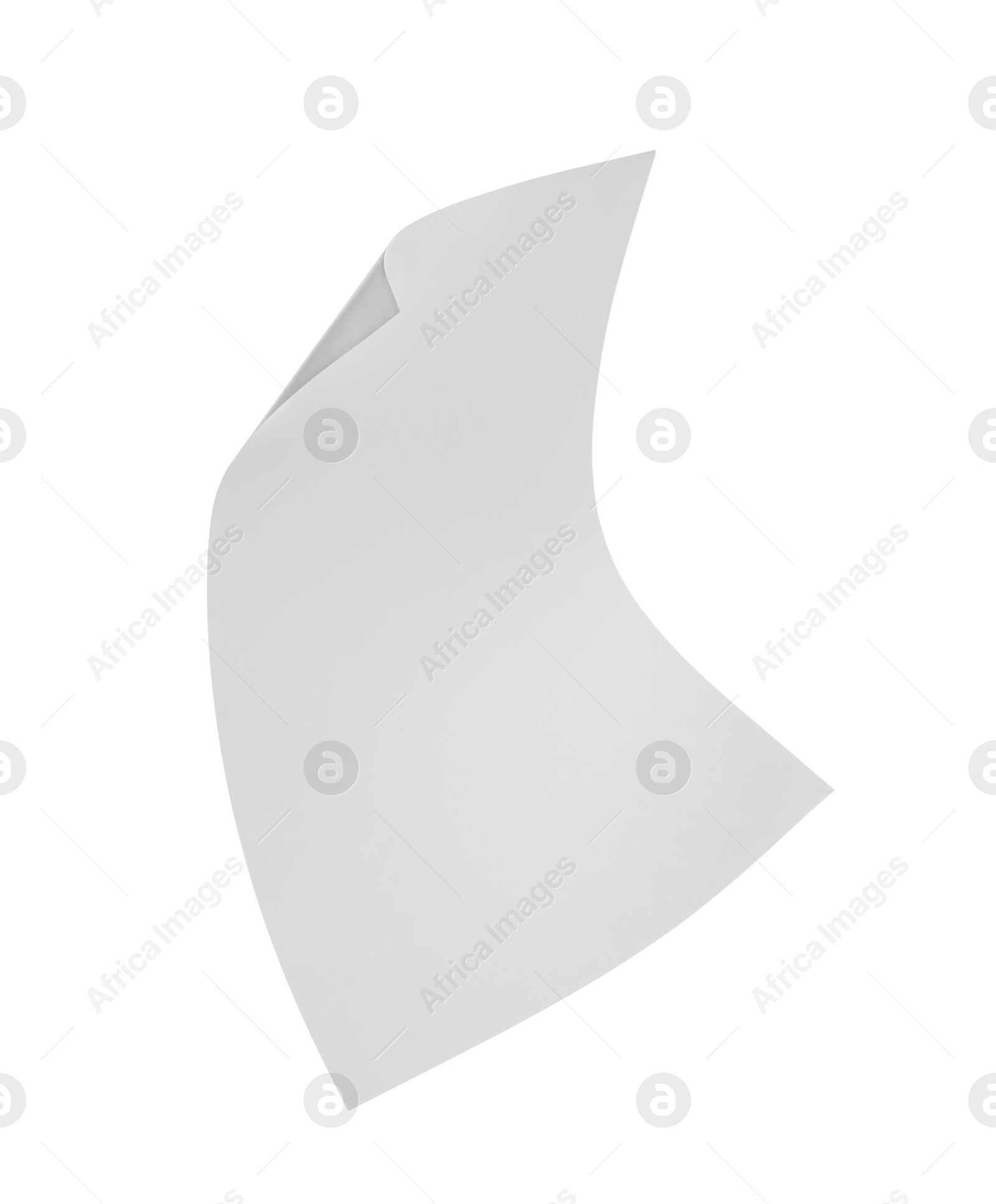 Photo of Flying blank paper sheet isolated on white