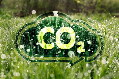 Concept of clear air. CO2 inscription in illustration of cloud with arrow and green grass covered with dew