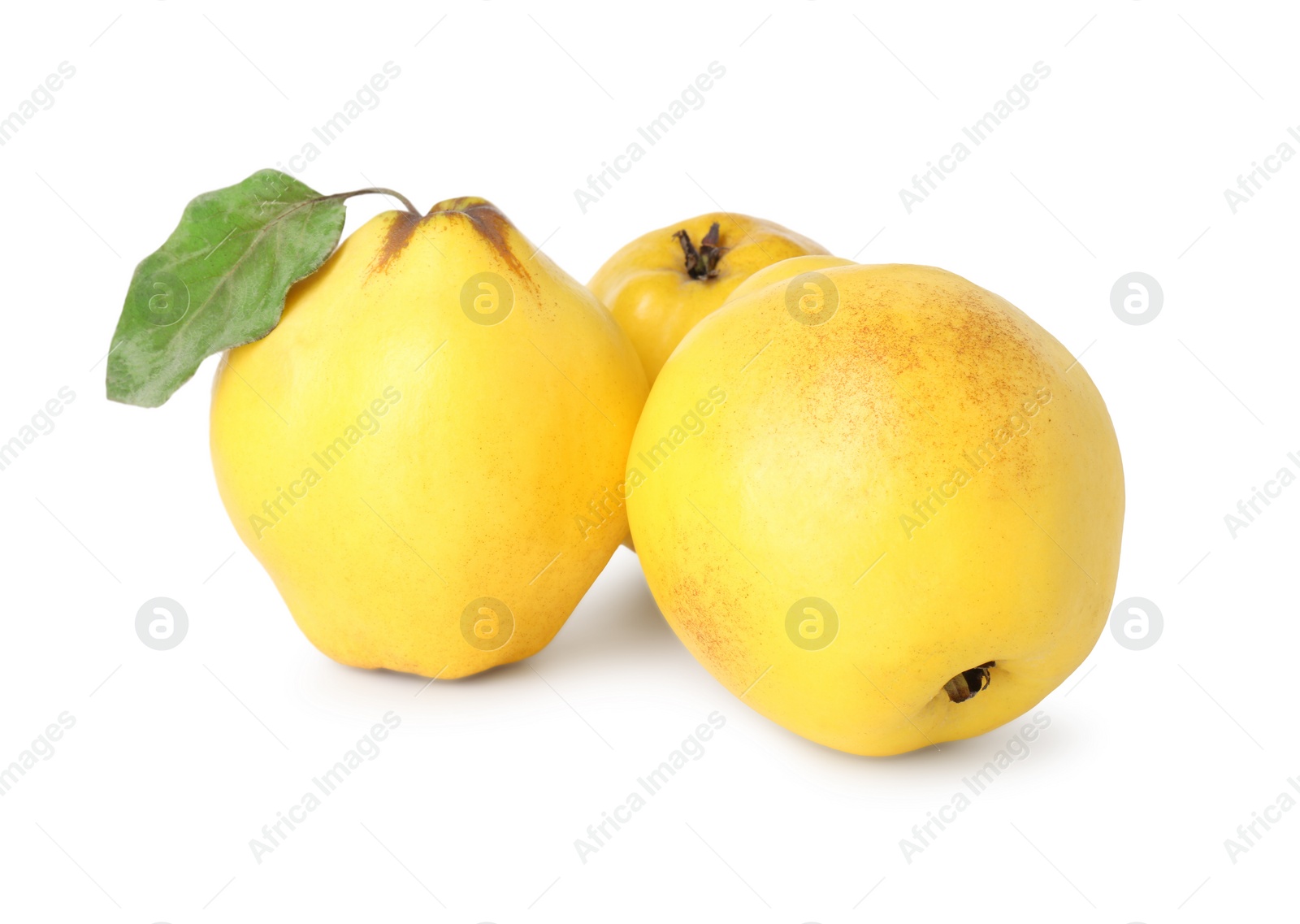 Photo of Fresh ripe quince fruits isolated on white