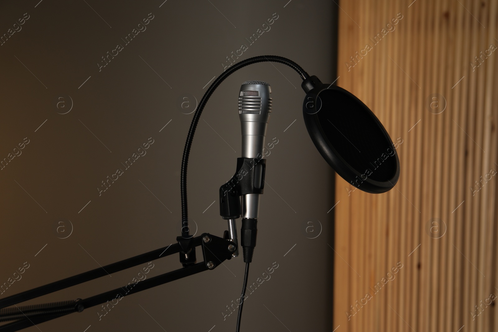 Photo of Stand with microphone and pop filter indoors. Sound recording and reinforcement