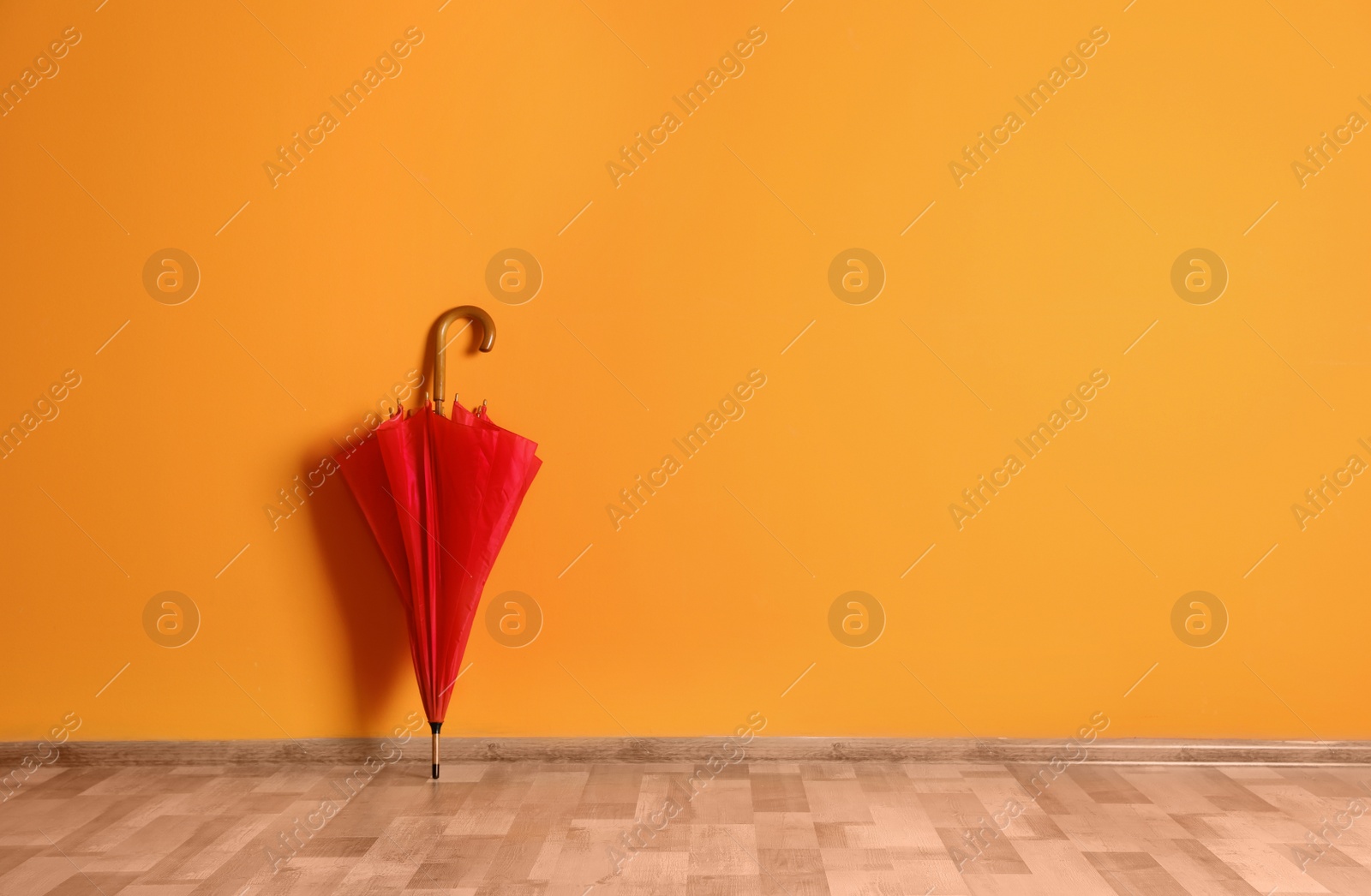 Photo of Beautiful umbrella on floor near color wall with space for design