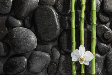 Photo of Bamboo branches, orchid and spa stones in water, top view. Space for text