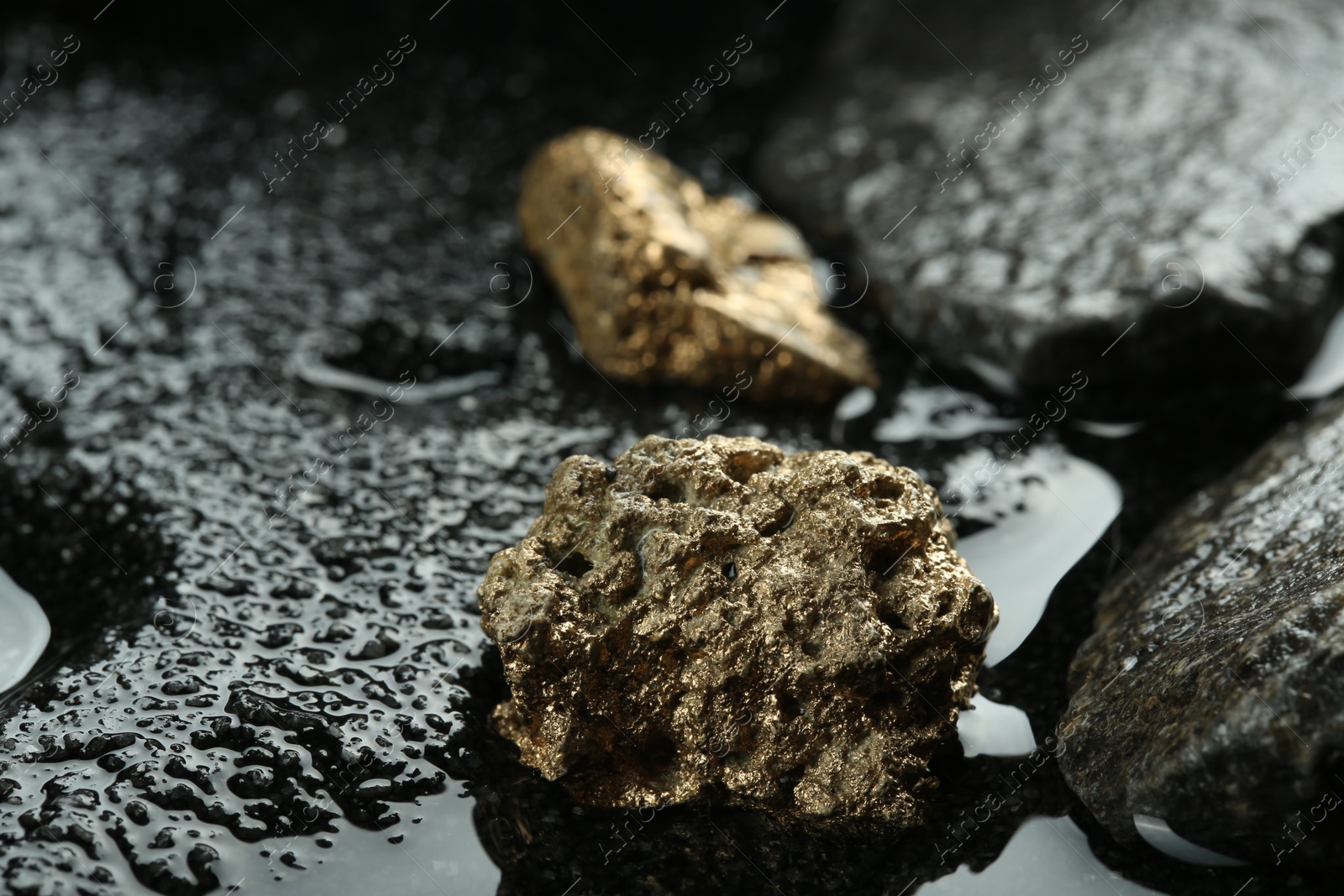 Photo of Shiny gold nuggets on wet stones, closeup