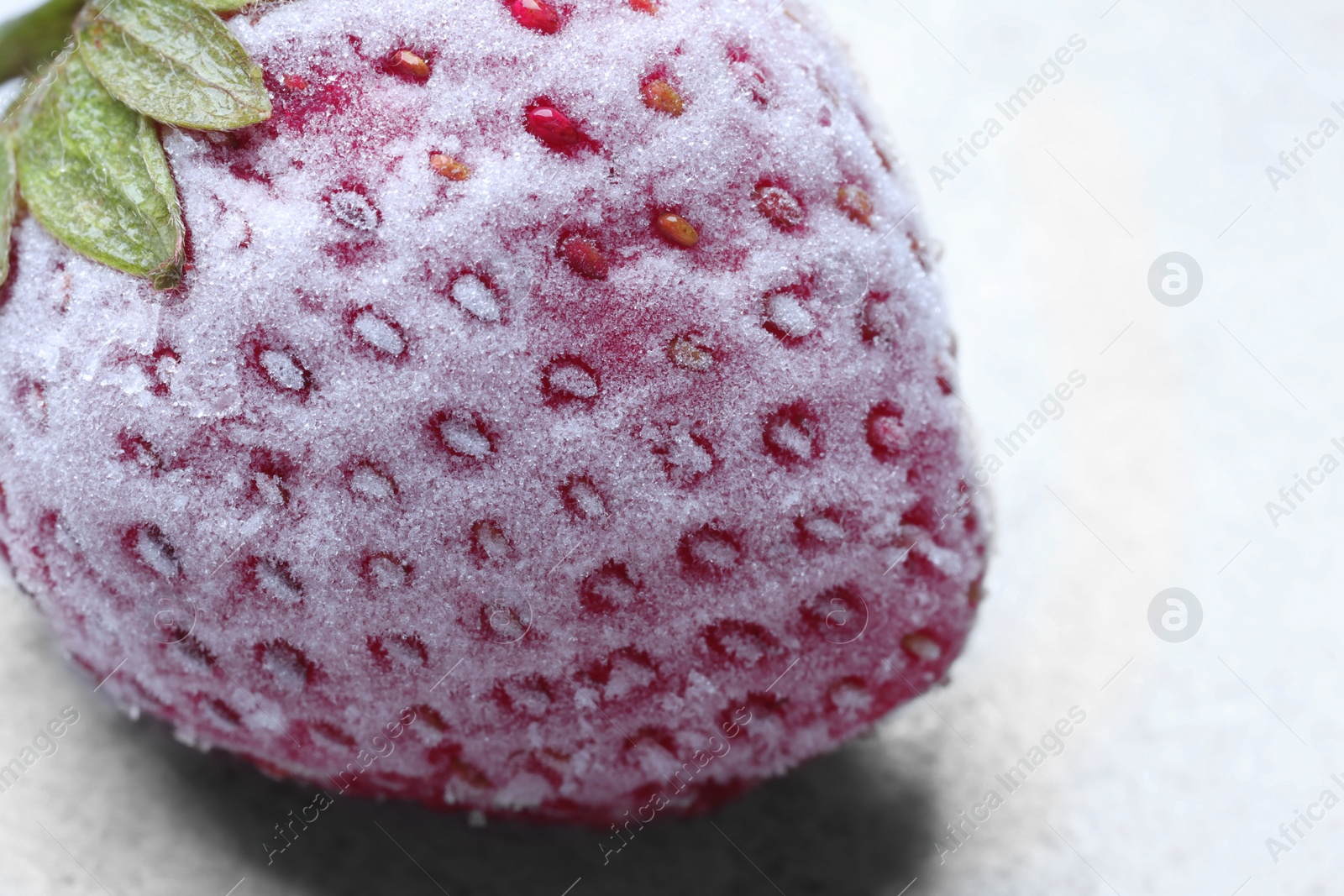 Photo of One frozen ripe strawberry on light table, closeup