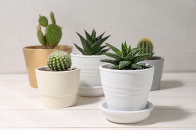 Photo of Many different succulent plants in pots on white wooden table