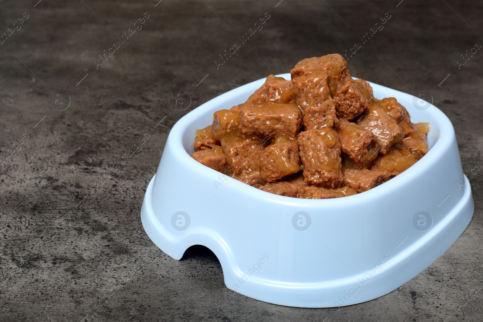 Photo of Wet pet food in feeding bowl on grey stone background, space for text