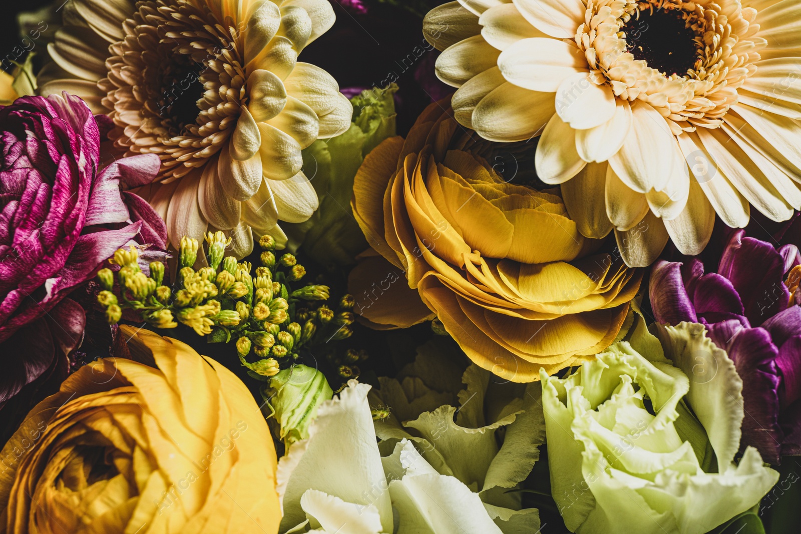 Photo of Beautiful bouquet of different flowers, closeup. Floral card design with dark vintage effect