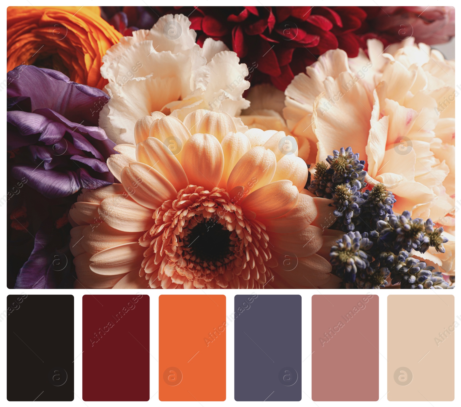 Image of Beautiful fresh flowers and color palette. Collage