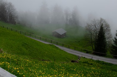 Picturesque view of valley with plants and trees covered by fog in mountains