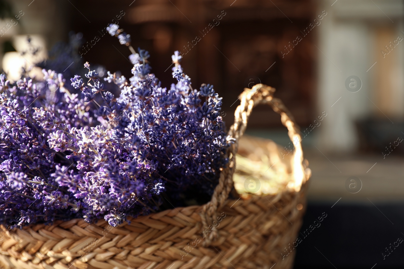 Photo of Wicker basket with beautiful lavender flowers outdoors, closeup