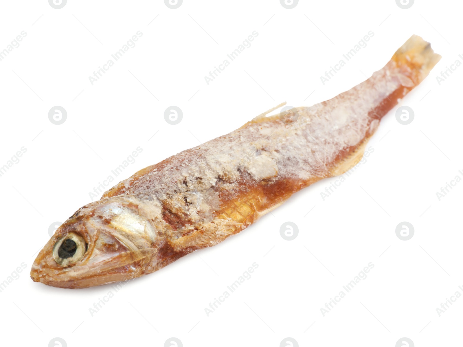 Photo of Delicious dried salted anchovy isolated on white