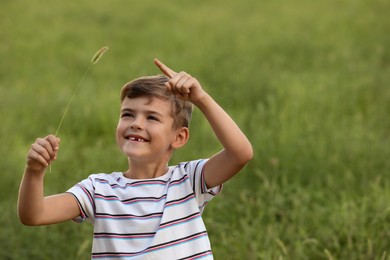 Photo of Cute little boy with spikelet in field, space for text. Child spending time in nature