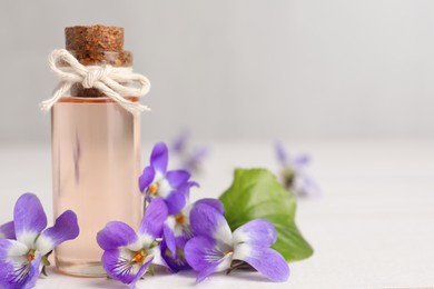 Beautiful wood violets and essential oil on white table, space for text. Spring flowers