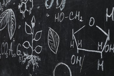 Photo of Chemical formulas and different pictures drawn on blackboard