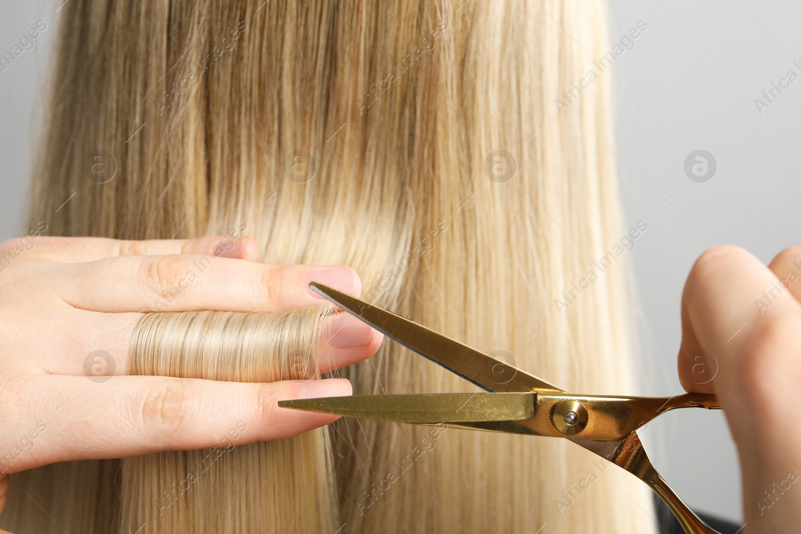 Photo of Hairdresser cutting client's hair with scissors on light grey background, closeup