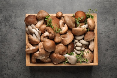 Photo of Different wild mushrooms in wooden crate on grey background, top view