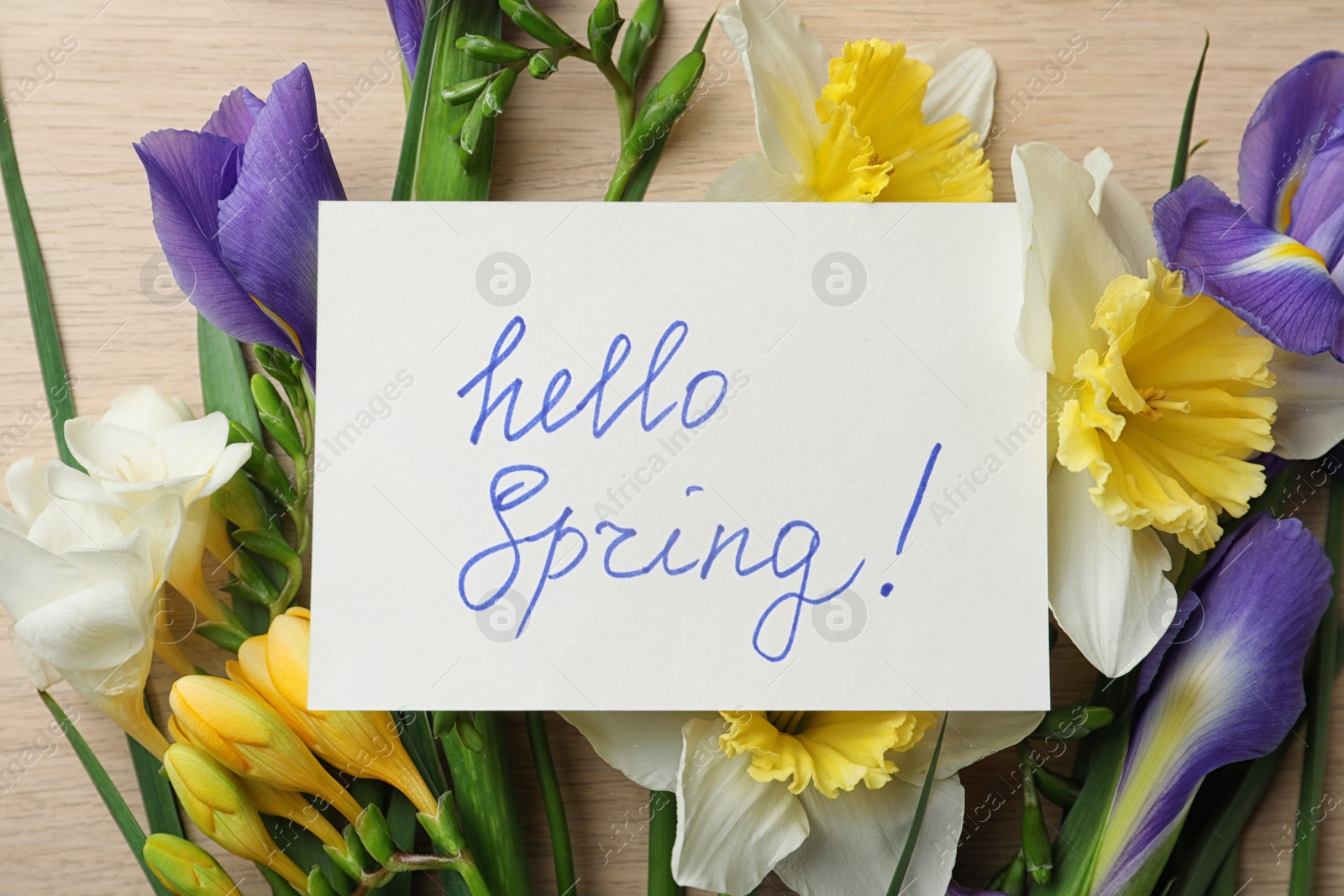 Photo of Card with words HELLO SPRING and fresh flowers on wooden table, flat lay