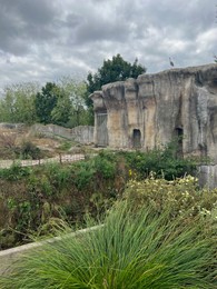 Photo of Rotterdam, Netherlands - August 27, 2022: Picturesque view of zoo enclosure with rock cliff