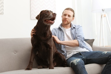 Adorable brown labrador retriever with owner on couch indoors