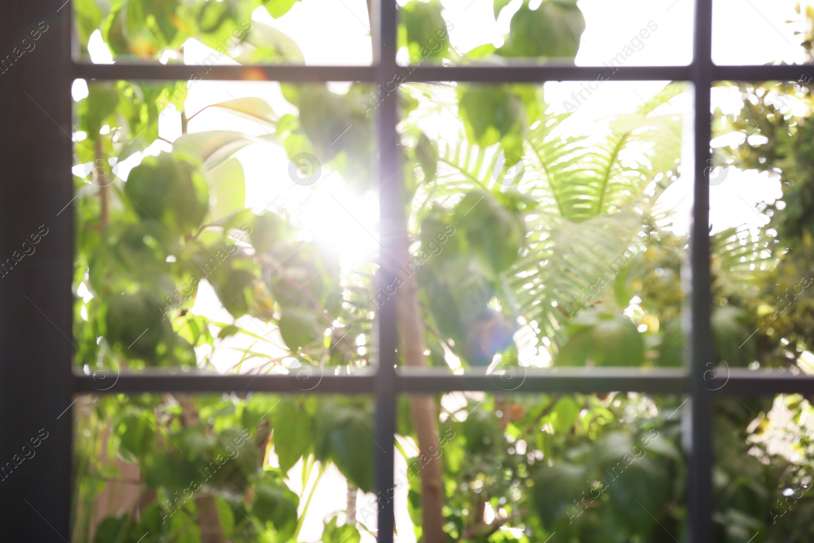 Photo of Blurred view through window on garden in morning