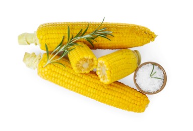 Tasty cooked corn cobs, rosemary and salt on white background, top view