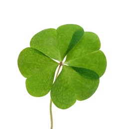 Photo of Beautiful green four leaf clover isolated on white